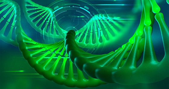 Клеточная и генная терапия - новый профиль в магистратуре МБФ по биологии