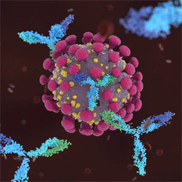 Молекулярная иммунология